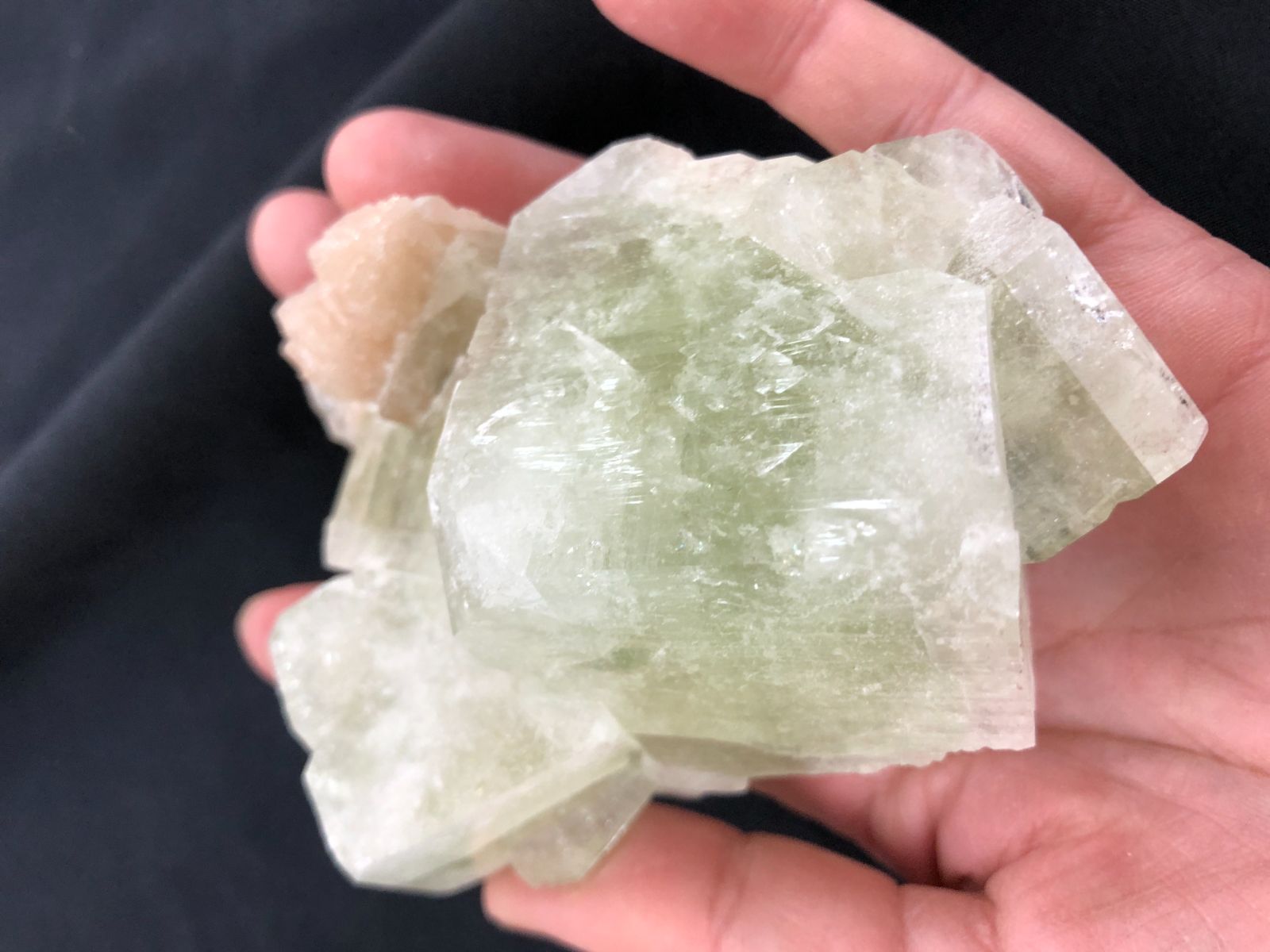 BOX グリーンカラー