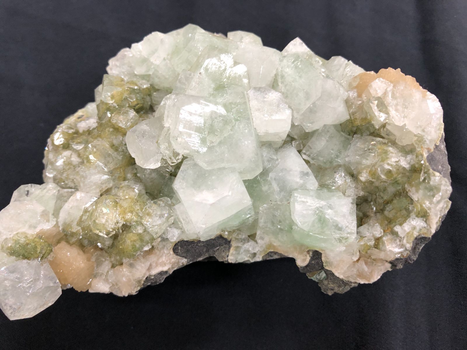 グリーンカラー