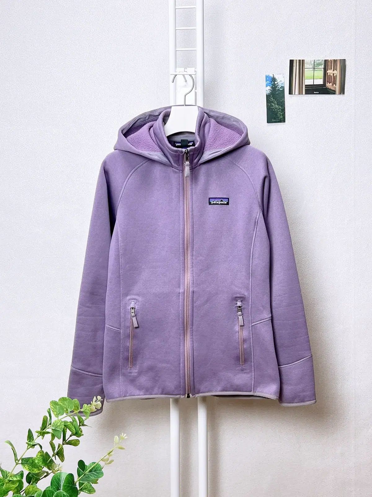 パタゴニア レディース フリース フーディー ジップアップ 66オススメ