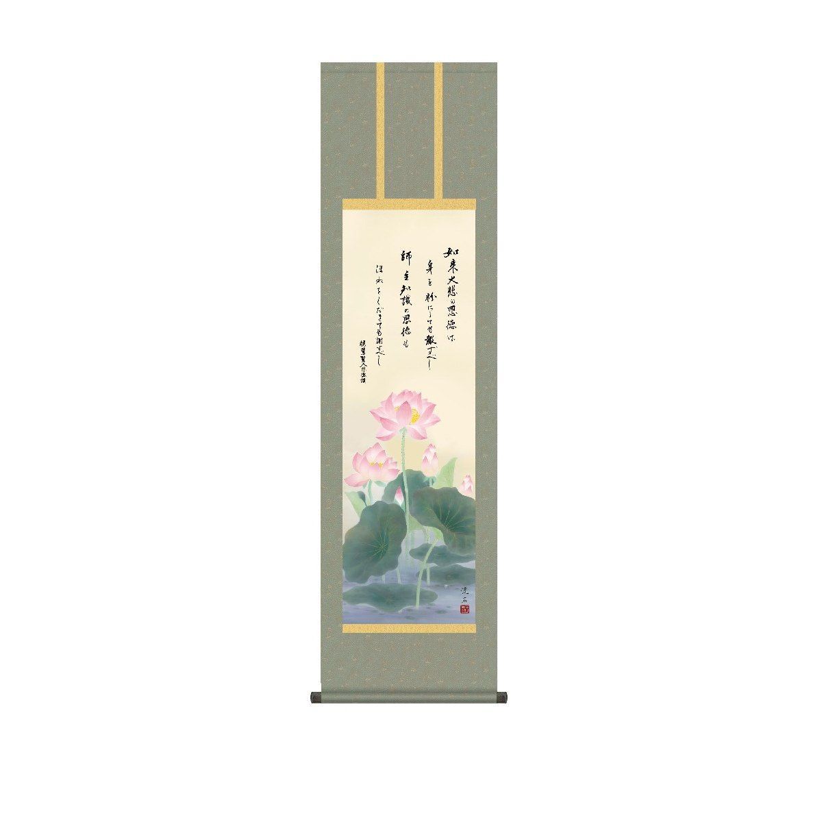 美品Lamp 12/