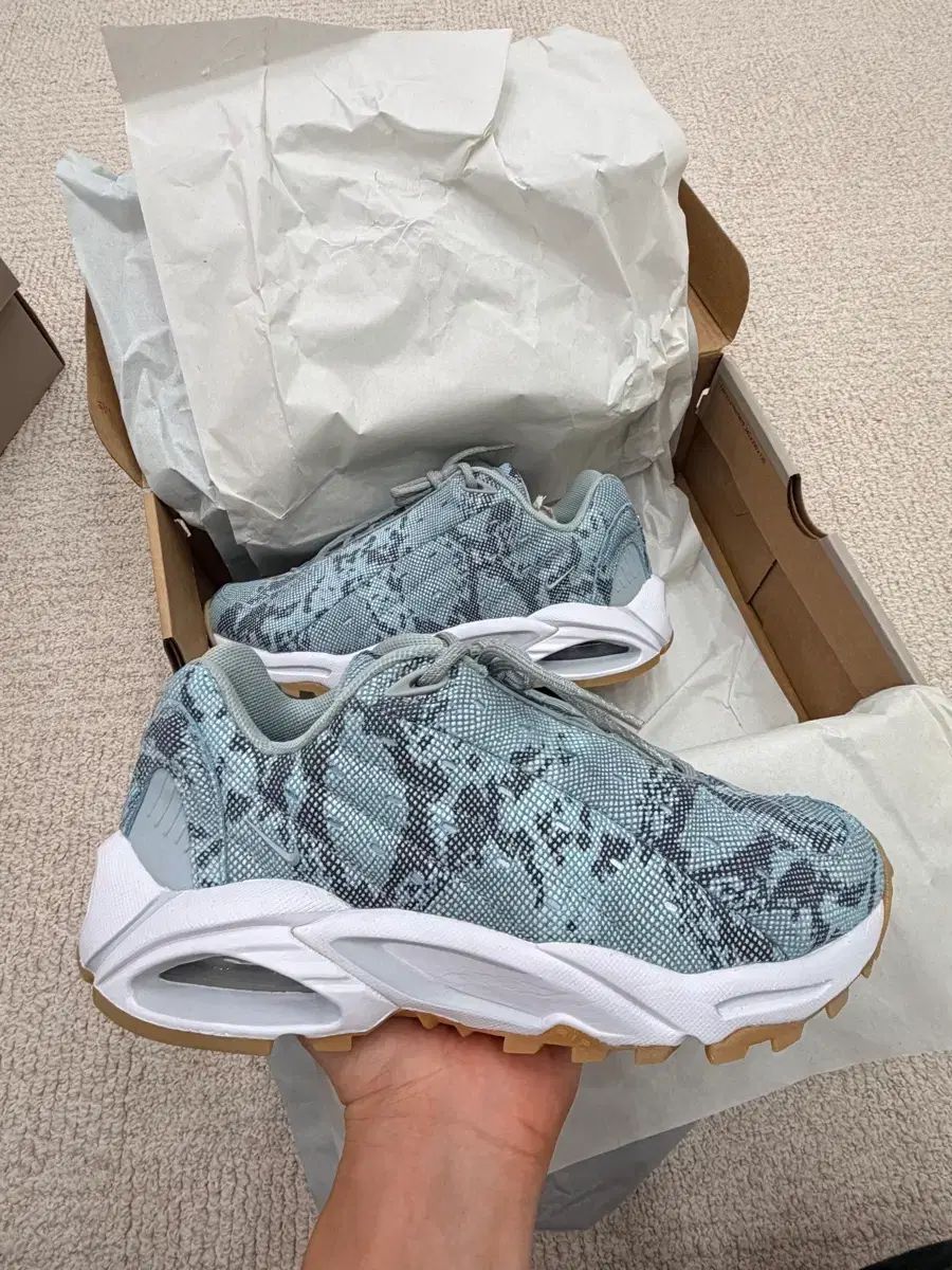 NIKE x Nocta ドレイク HOT Face the Sun レイ 새상품