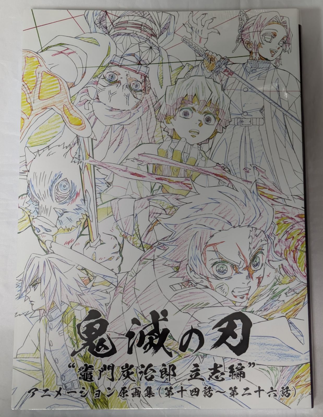 テレビアニメ 鬼滅の刃 立志編 アニメーション 原画集 第十四話～第二十六話 冨岡義勇 胡蝶しのぶ 竈門炭治郎 竈門禰豆子 我妻善逸 嘴平伊之助 鬼滅 グッズ