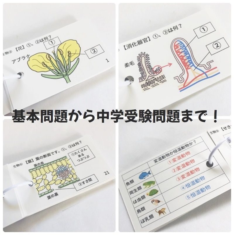【072】中学受験理科　生物マスター①～⑨　中学入試　小学４年生、小学５年生、小学６年生　理科の自主学習　ハンドメイド