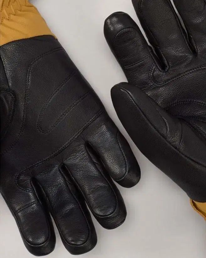 セイバー グローブ