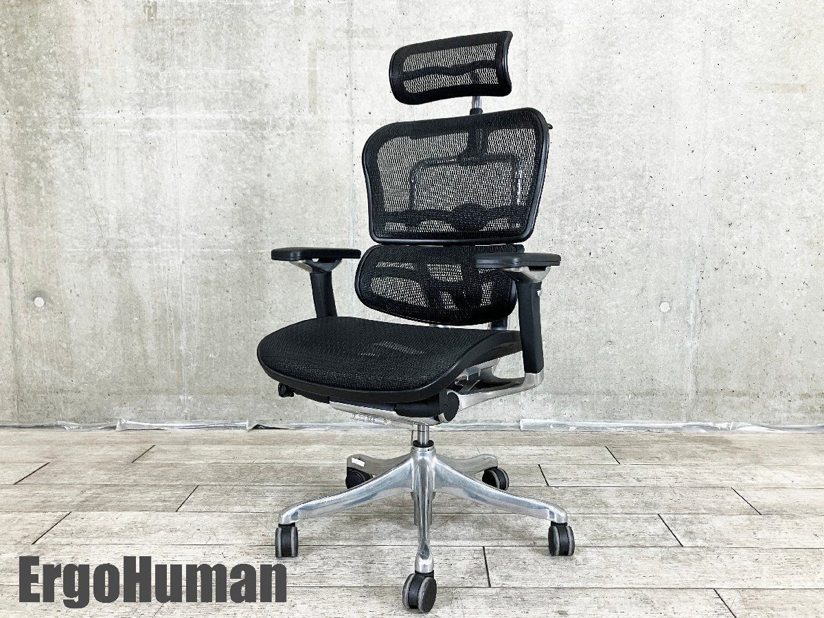 Ergohuman エルゴヒューマン プロ ヘッドレスト付 メッシュ ブラック コートハンガー付き
