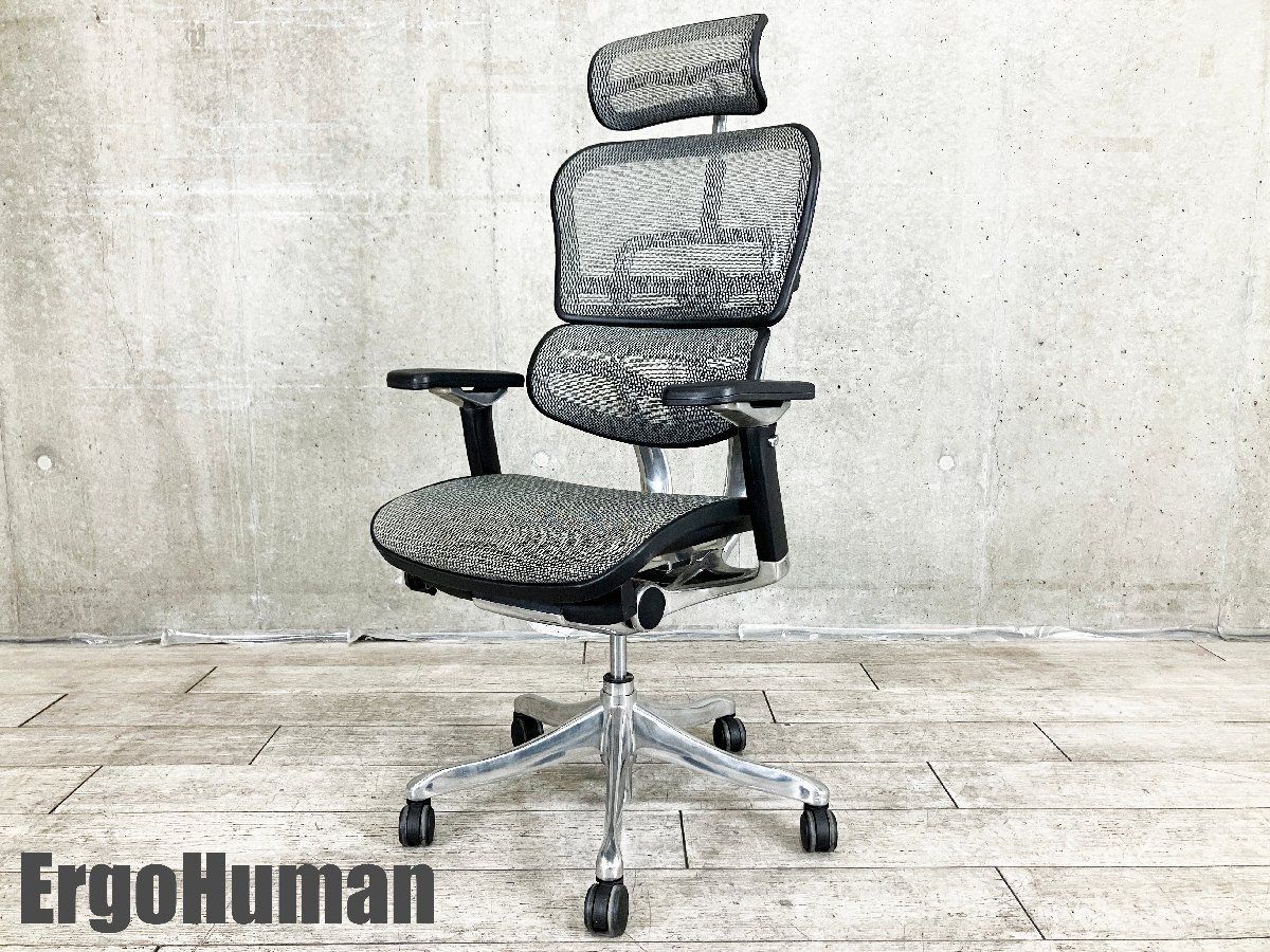 Ergohuman エルゴヒューマン プロ ヘッドレスト付 メッシュ グレー
