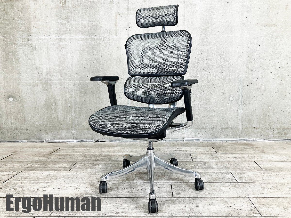 Ergohuman エルゴヒューマン プロ ヘッドレスト付 メッシュ グレー コートハンガー付き