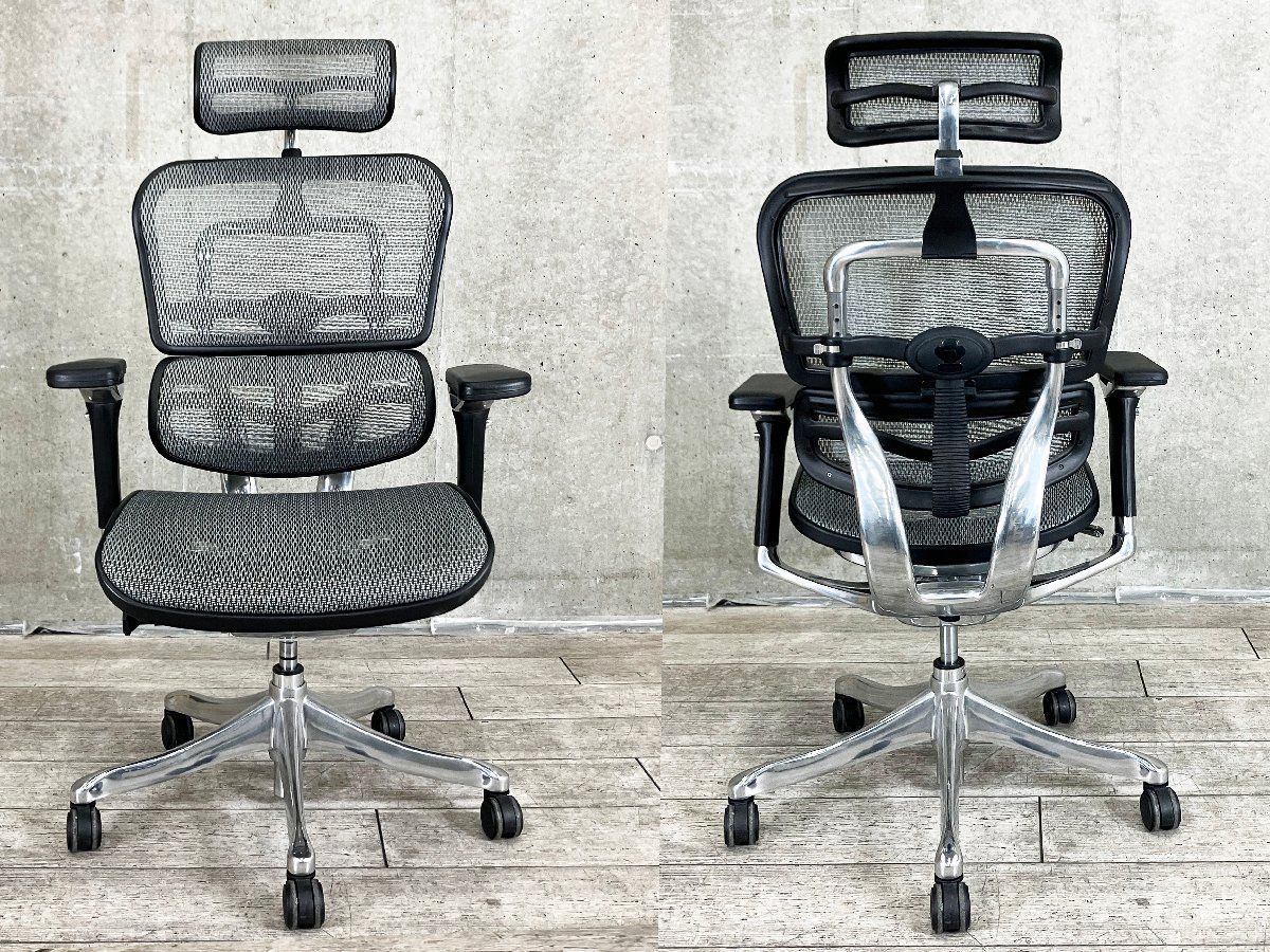 エルゴヒューマン プロ