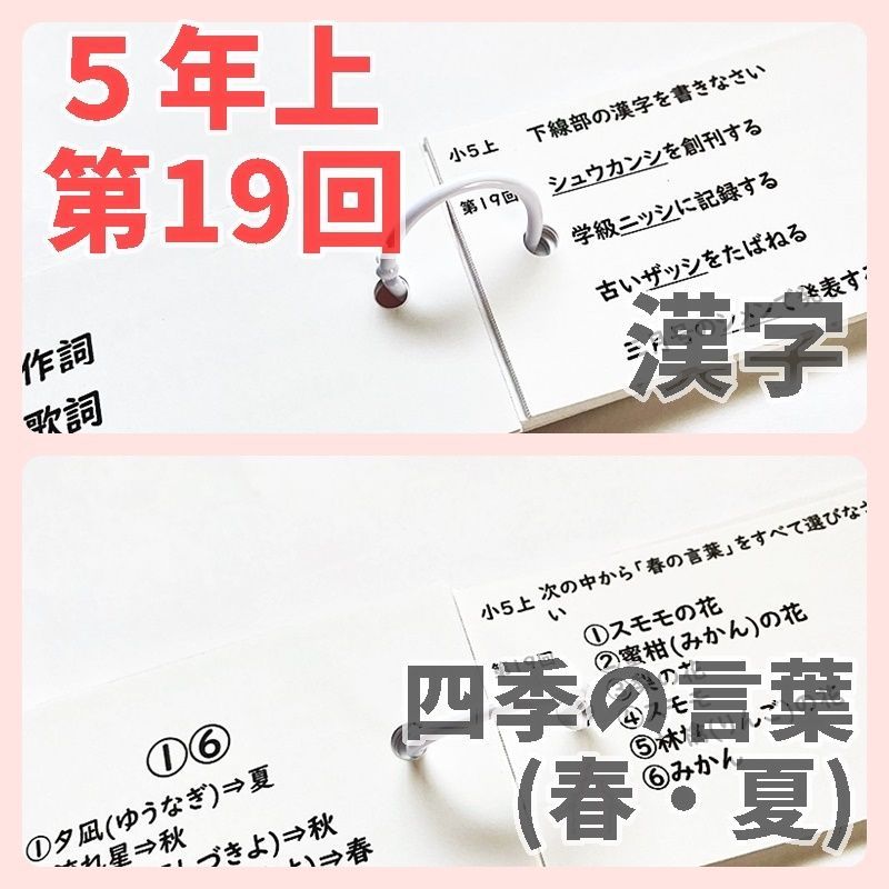 ●中学受験国語【5K2】予習シリーズ　漢字とことば　５年上　第11～19回　組分けテスト　暗記カード　単語帳　四谷大塚　早稲田アカデミー　東進ハイスクール　週テスト対策