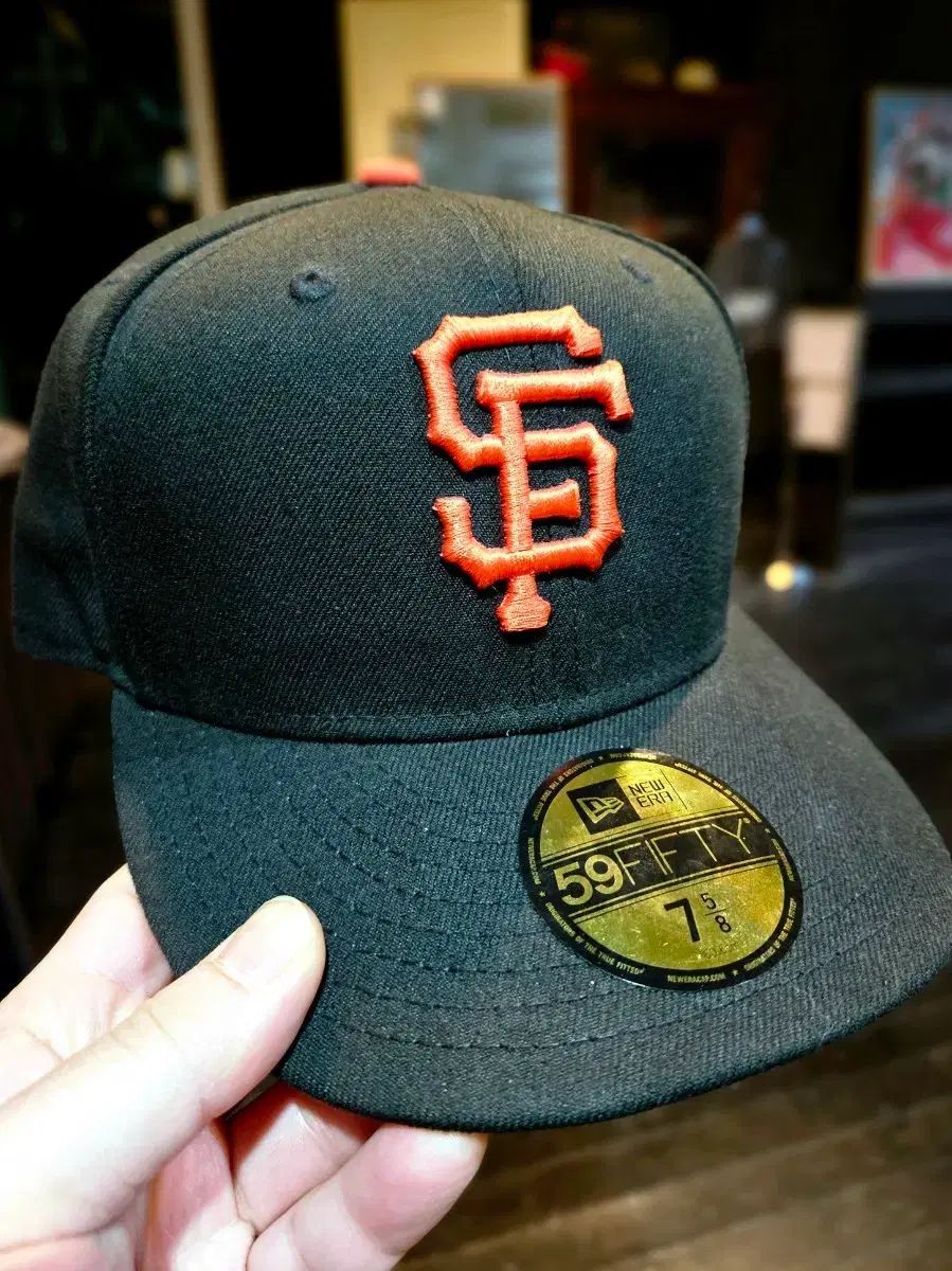 多肉植物 アガベ 超特選 ダルマ笹の雪 濃白株 極上大株 包葉 完美球形