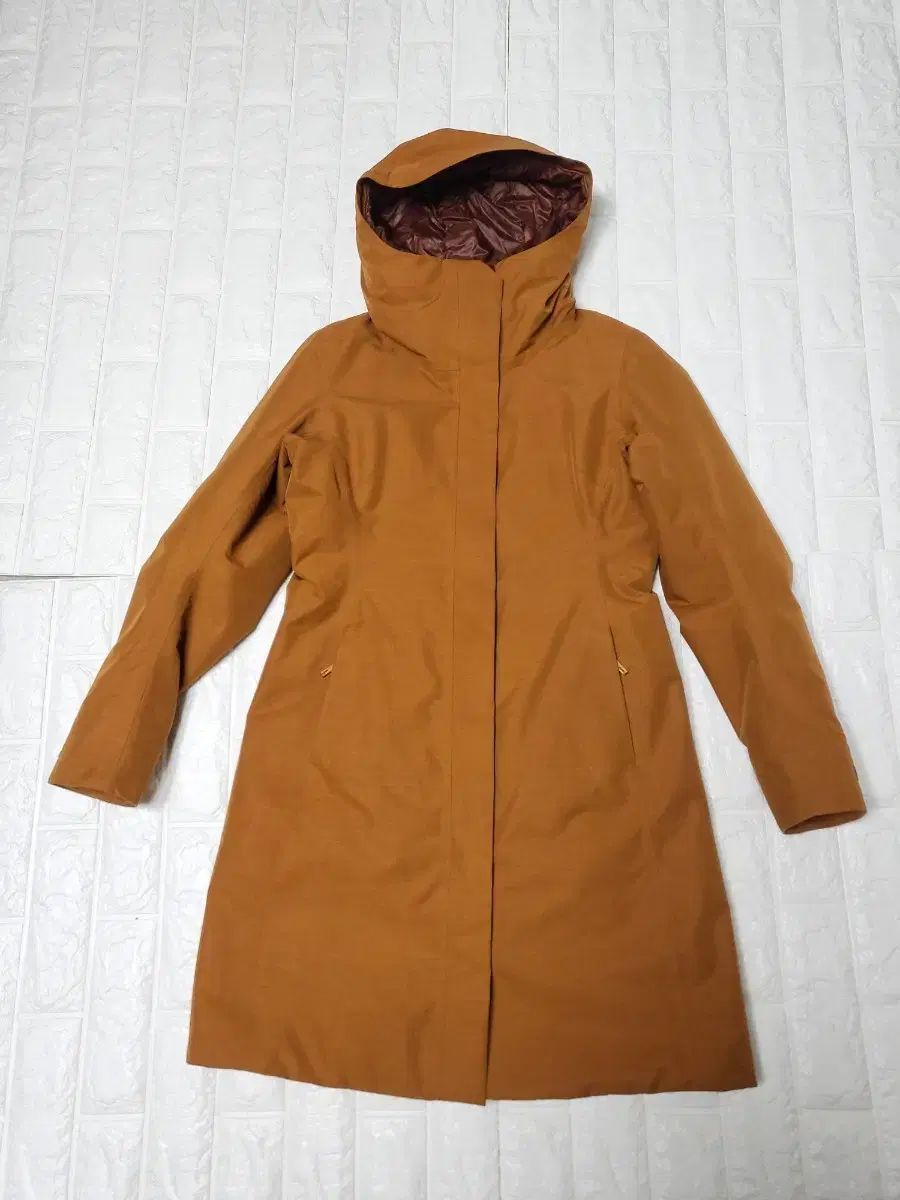 ARC TERYX ゴアテックス レディース グースダウン