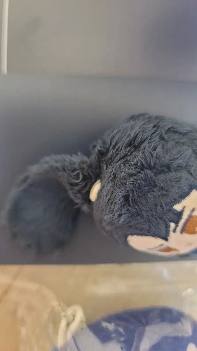 ナムグンヒョク スペシャルマット ぽちゃ혁 非 グッズ まとめ