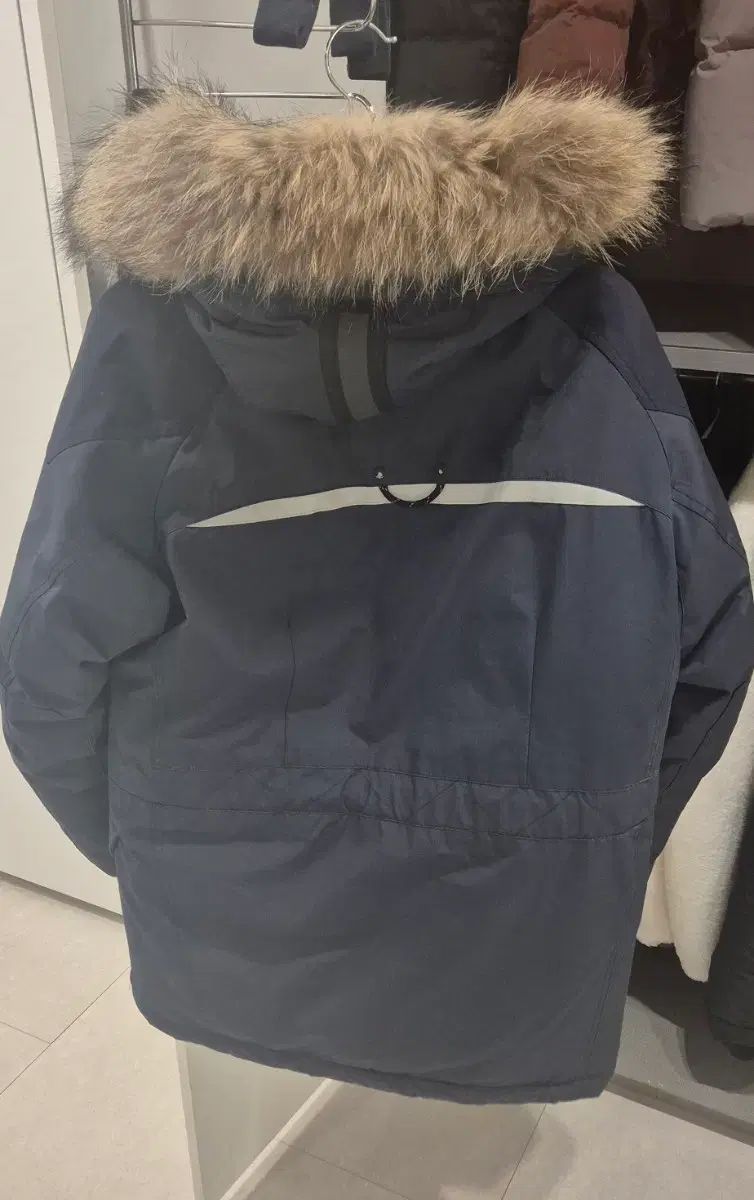 ンス カメラマンズ