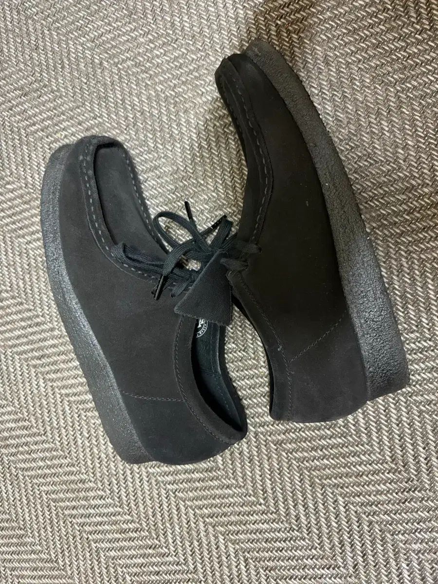 ワラビー ブラック