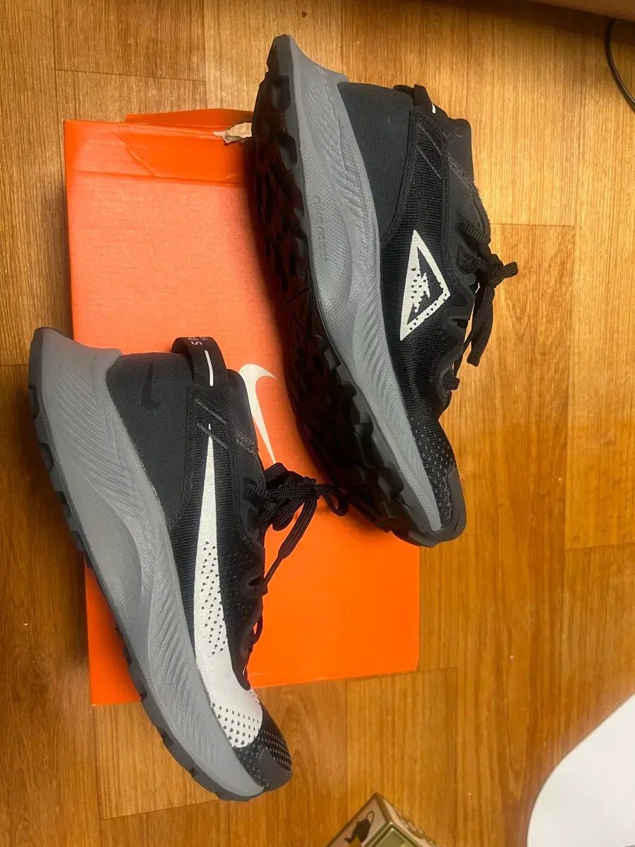 ペガサストレイル2 240