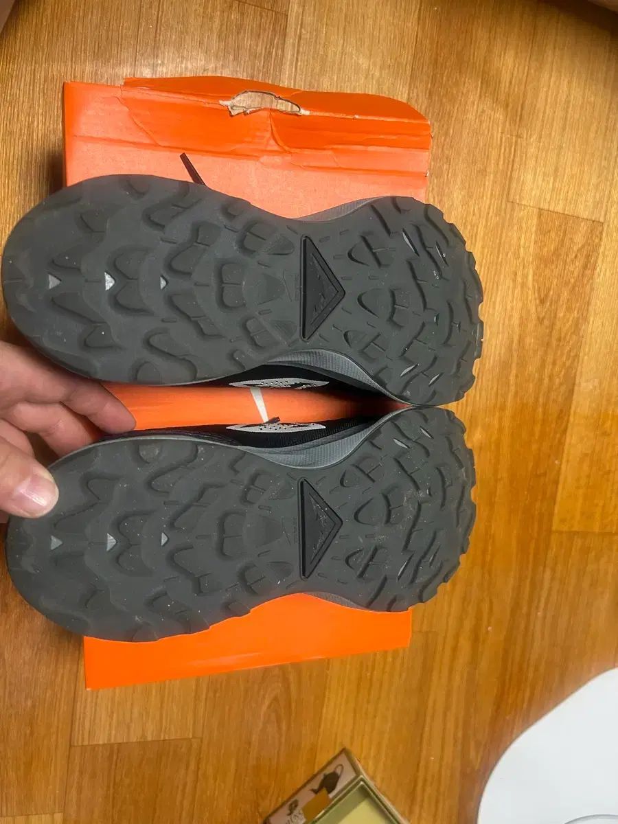 ペガサストレイル2