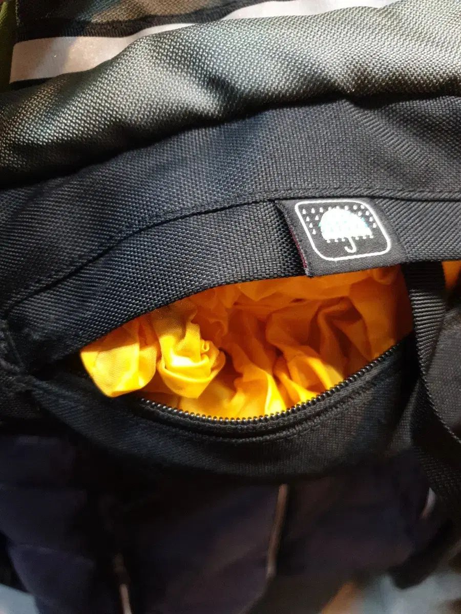 グリーン色 ビアンカ