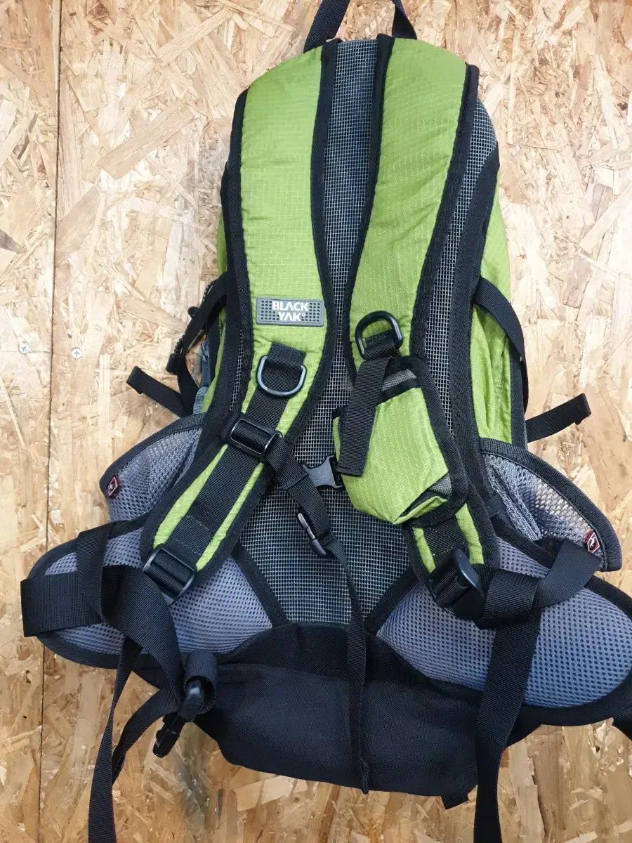 グリーン色 ビアンカ