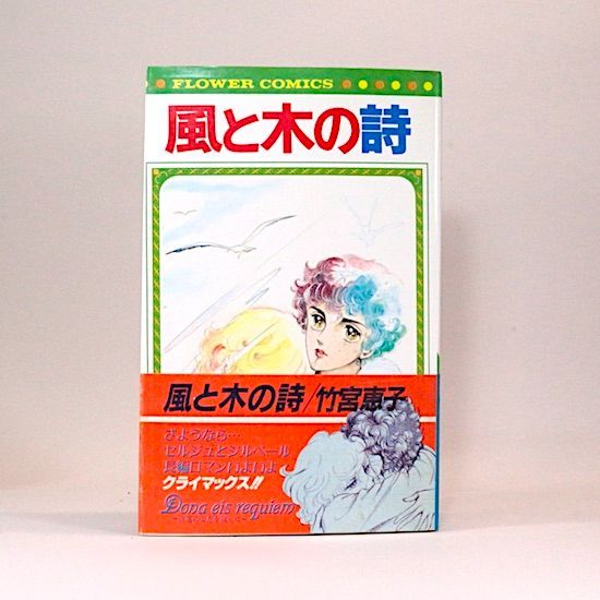 風と木の詩 全17巻セット 竹宮恵子 フラワーコミックス - メルカリ