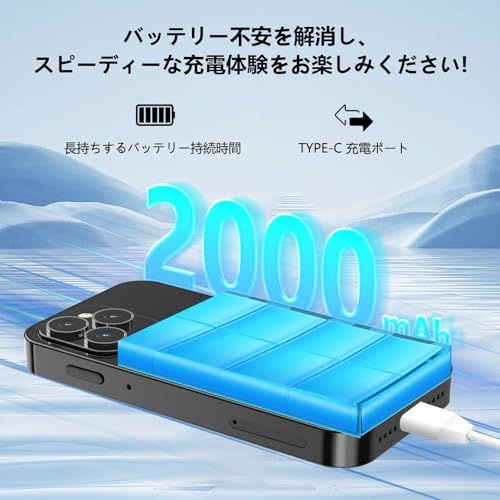 デュアルナノ SIM