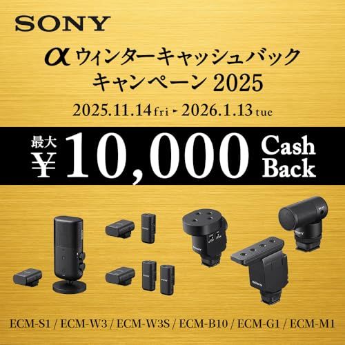 SONY ソニー カメラ用マイク ショットガンマイクロホン 可変指向性 ウインドスクリーン付属 ECM M 1 mm