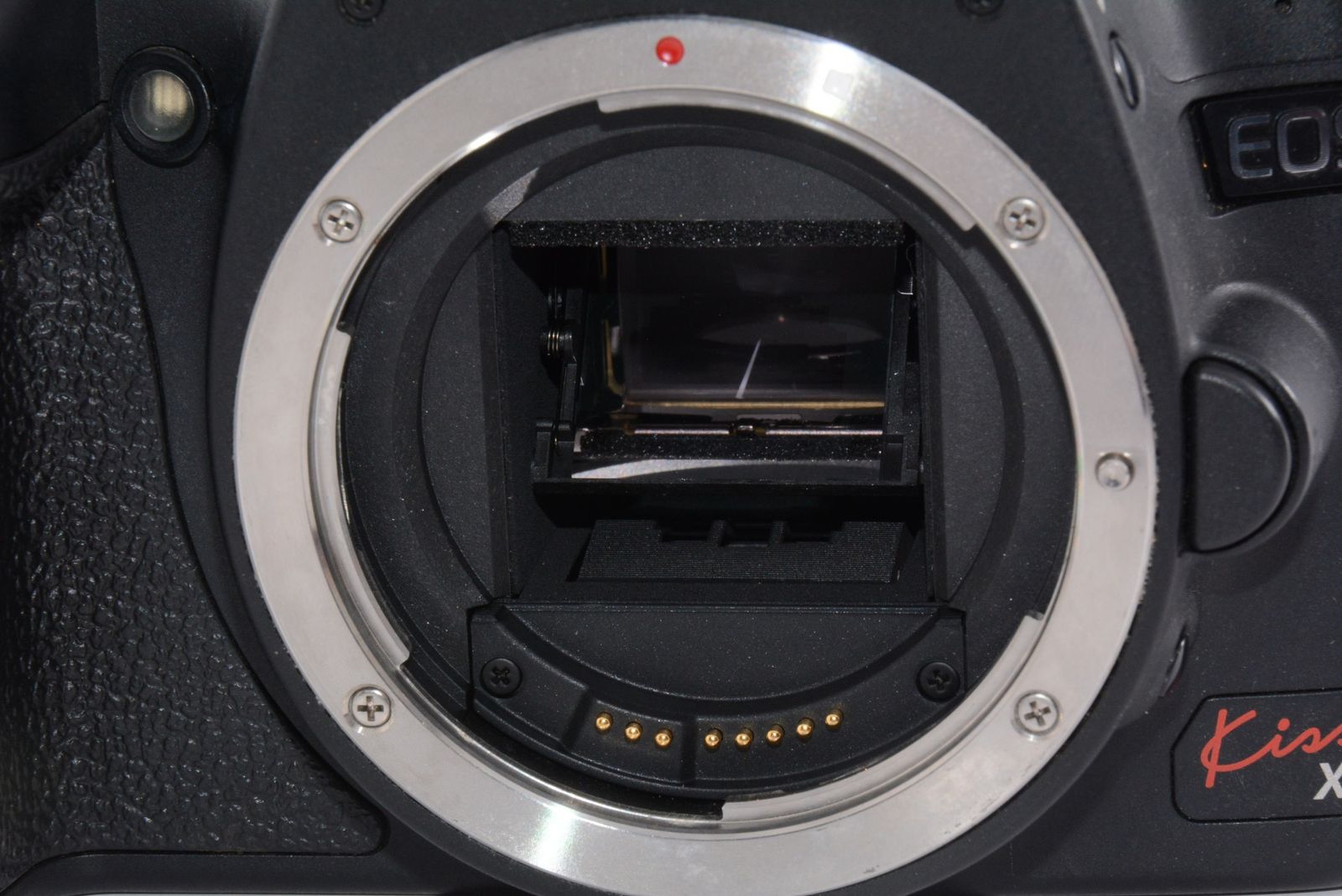 Canon デジタル一眼レフカメラ