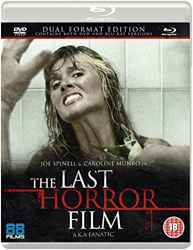 The Last Horror Film