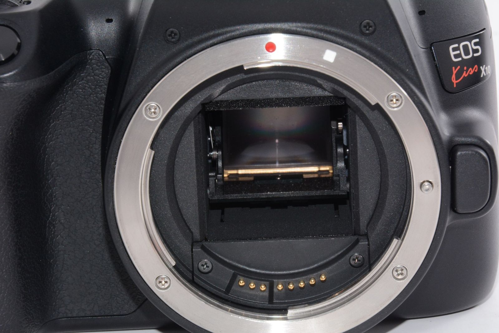  外観特上級 Canon EOS Kiss X 10 ボディ デジタル一眼レフ デジタルカメラ