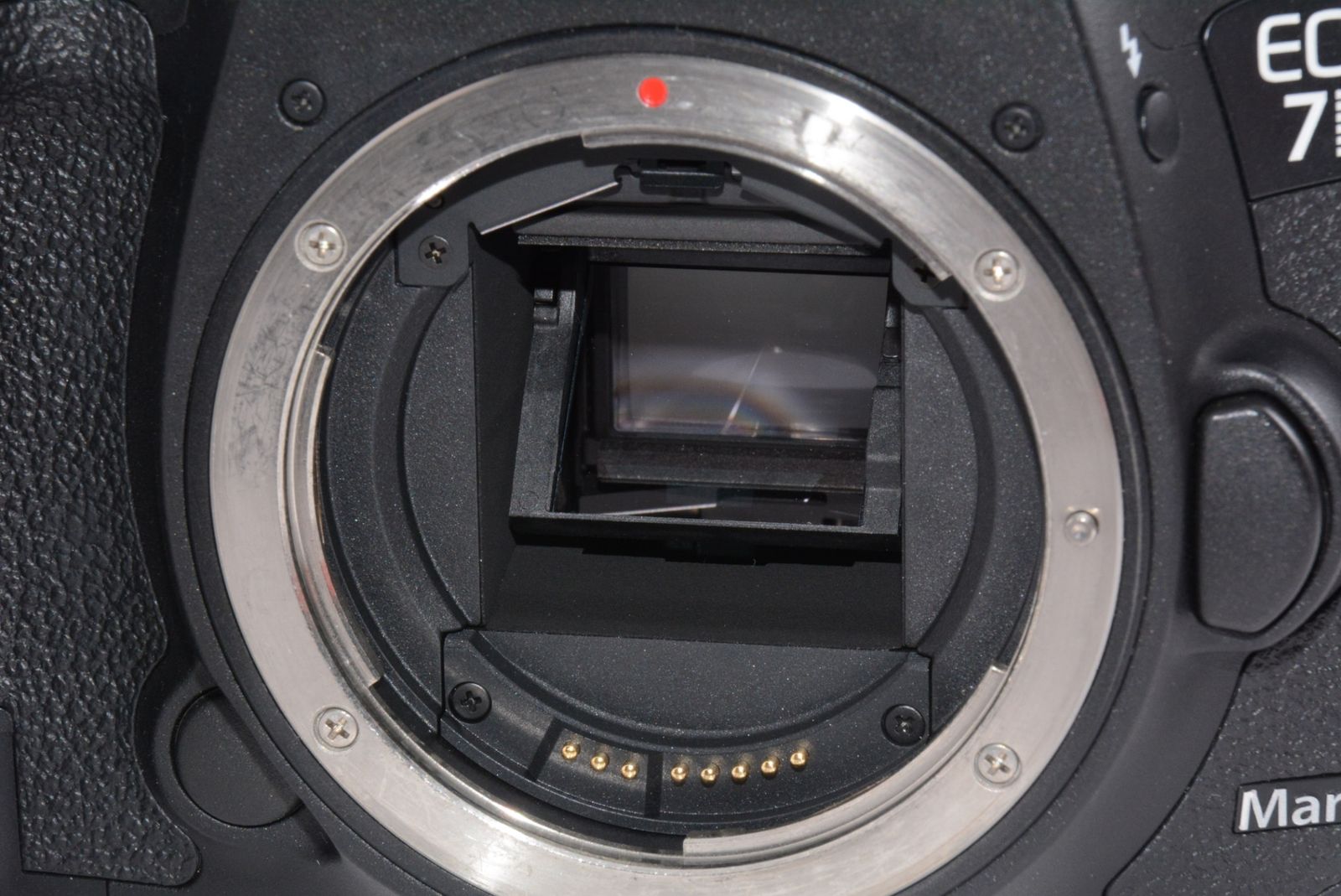  外観特上級 Canon EOS 7 D Mark IIボディ デジタル一眼レフ デジタルカメラ