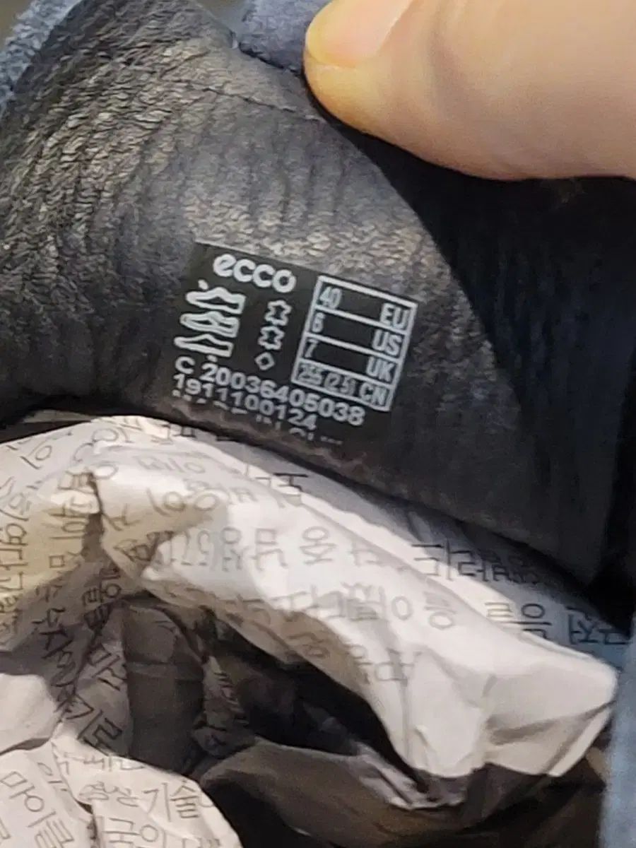 エコー スウェード