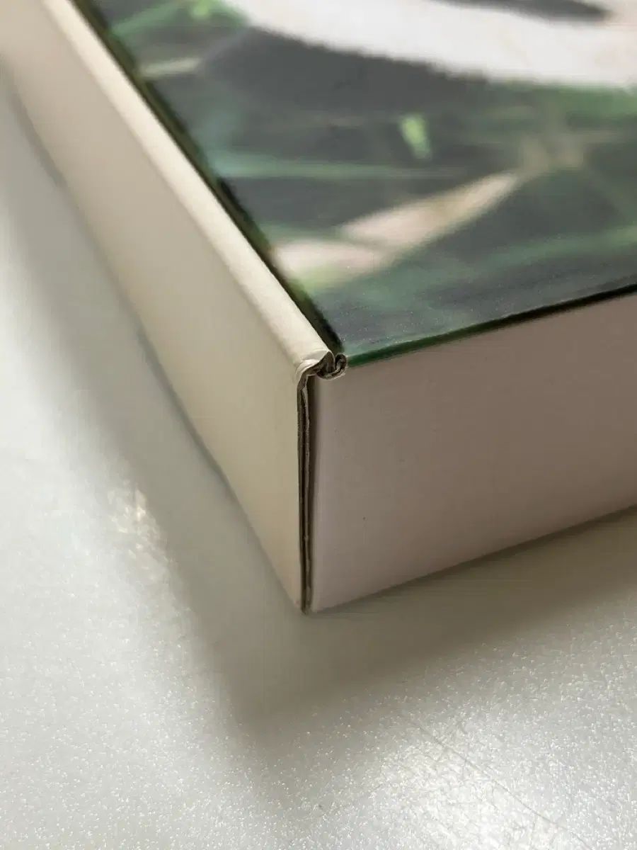 シーグリ シーズングリーティング