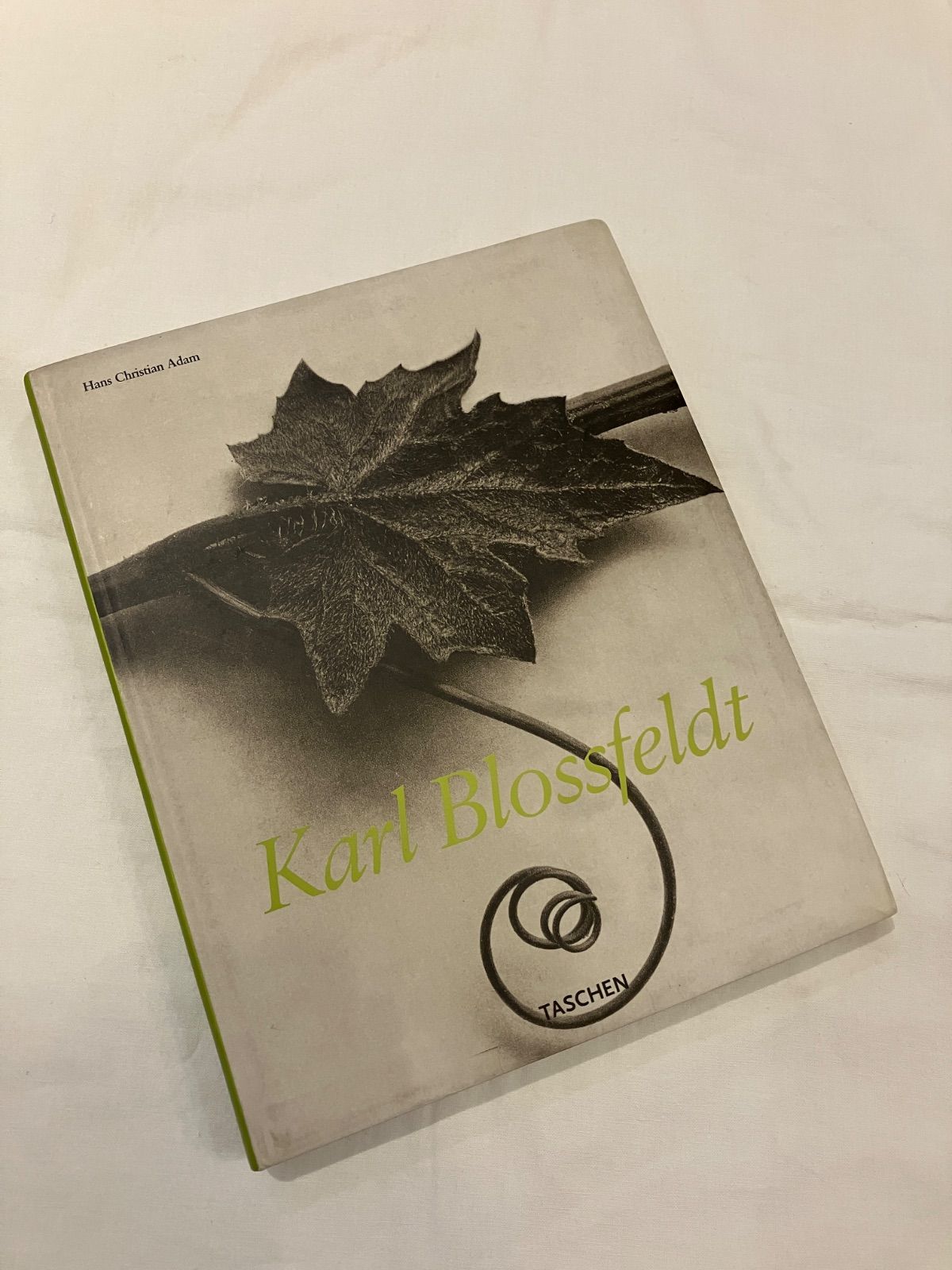 カール・ブロスフェルト 写真集 Karl Blossfeldt - メルカリ