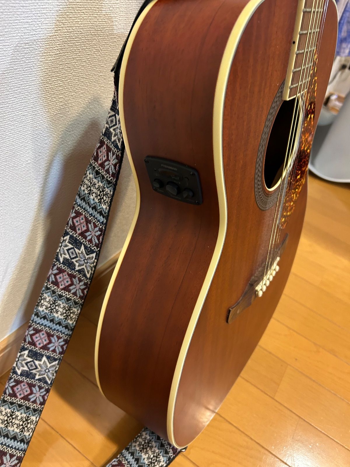 エレクトリックアコースティックギター