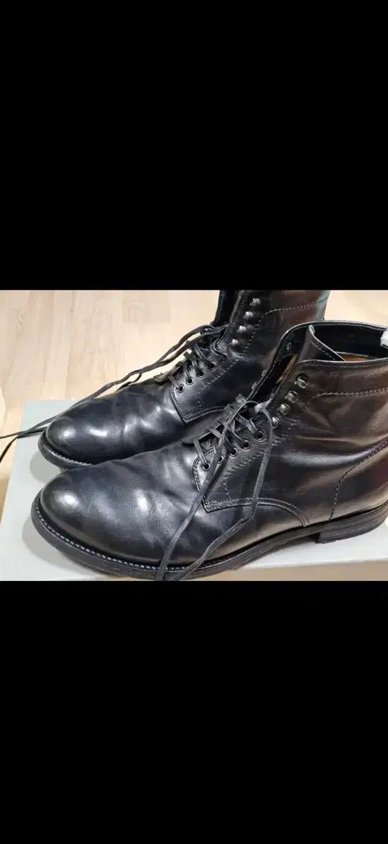 オピーチネクリアティベ アナトミー 013 ブラック