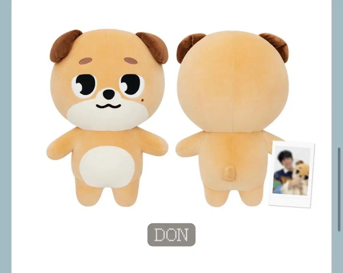 DAY 6 デイシックス デニマルズ DENIMALZ ジャイアント ドン