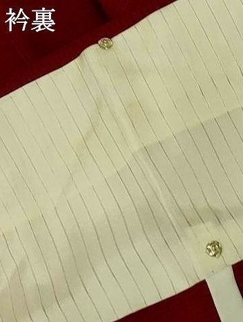  平和屋着物＊夏物 色無地 絽 葡萄茶色 正絹 jd 色無地 着物