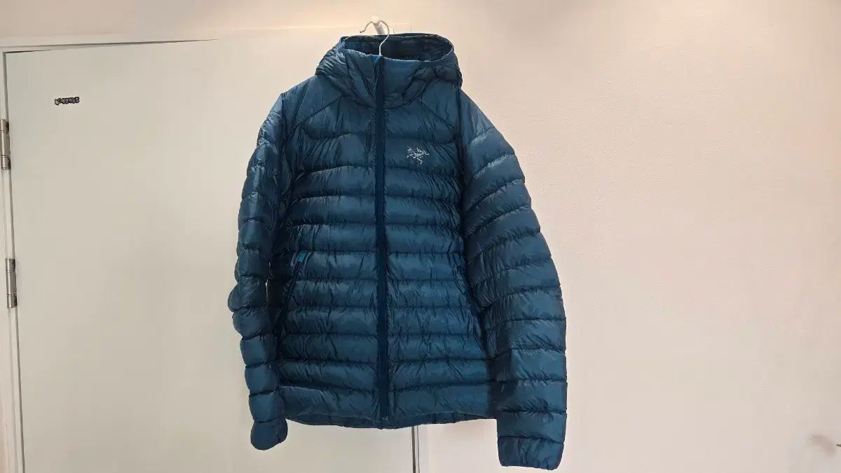 ARC TERYX Cerium LT Mサイズ 店頭 紙バッグ 含む