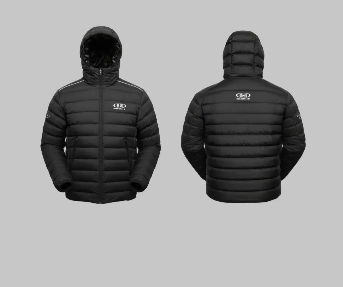 圧倒 FEATHER ARMOR ダウン