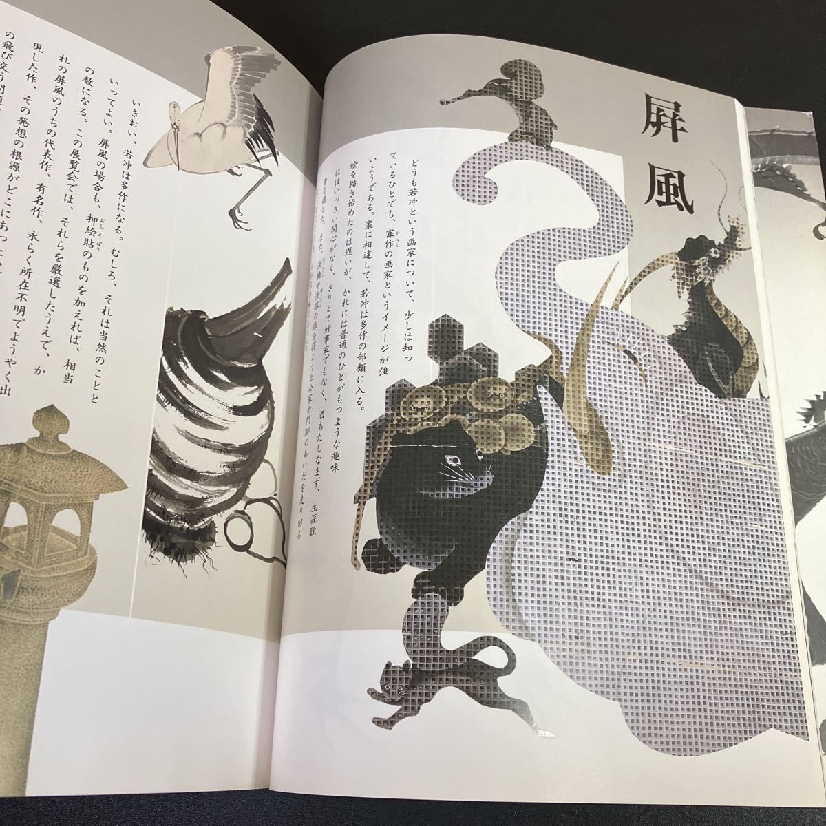 特別展覧会 没後200年 若冲 Jakuchu!』図録 伊藤若冲 京都国立博物館