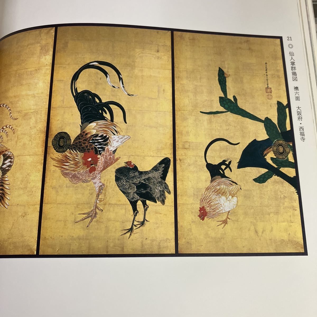 特別展覧会 没後200年 若冲 Jakuchu!』図録 伊藤若冲 京都国立博物館