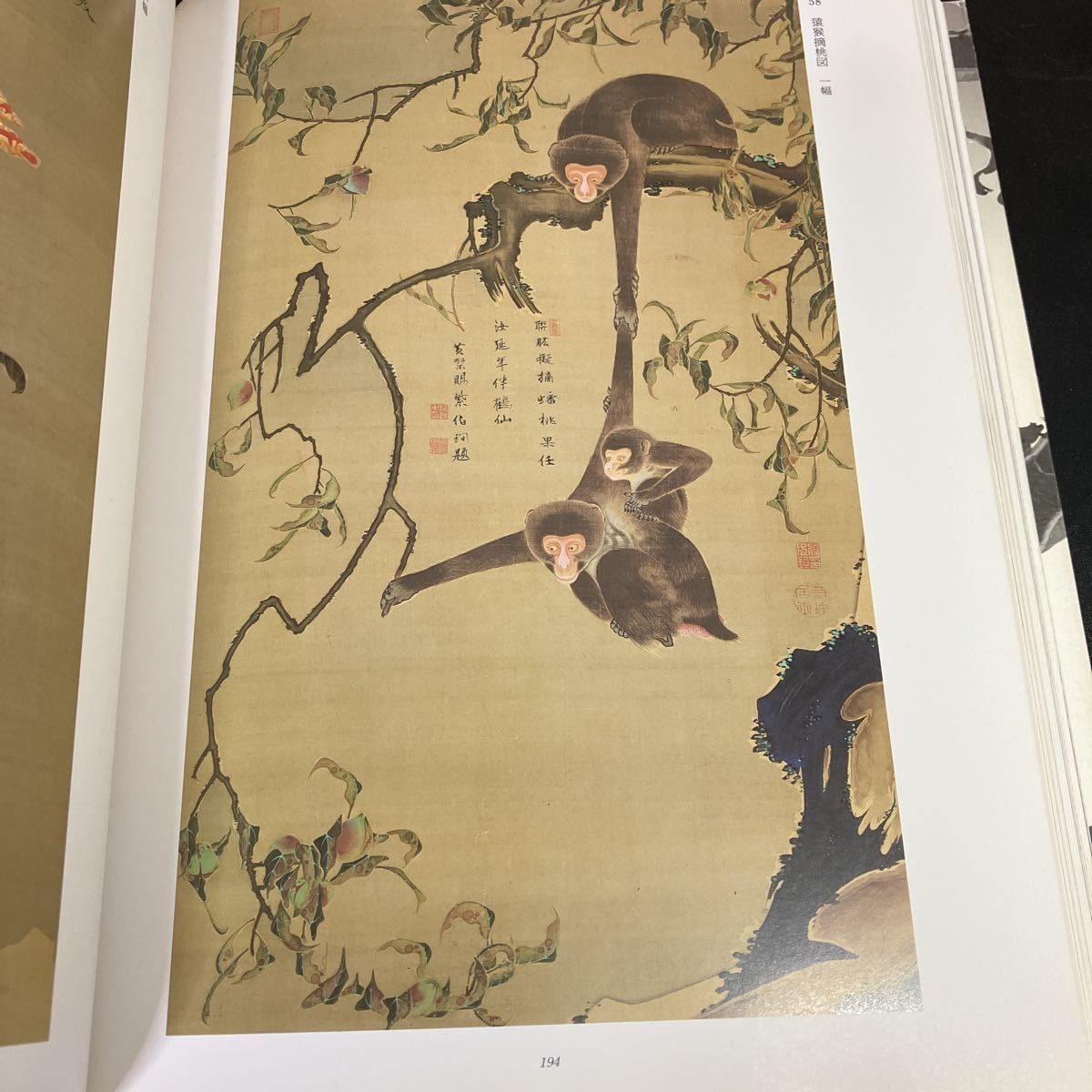 特別展覧会 没後200年 若冲 Jakuchu!』図録 伊藤若冲 京都国立博物館