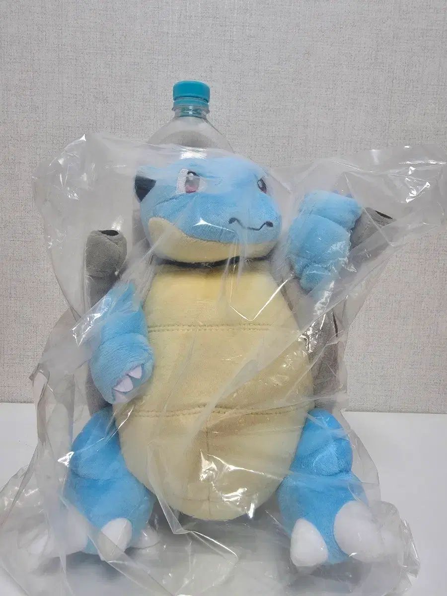 ポケットモンスター カメール ぬいぐるみ
