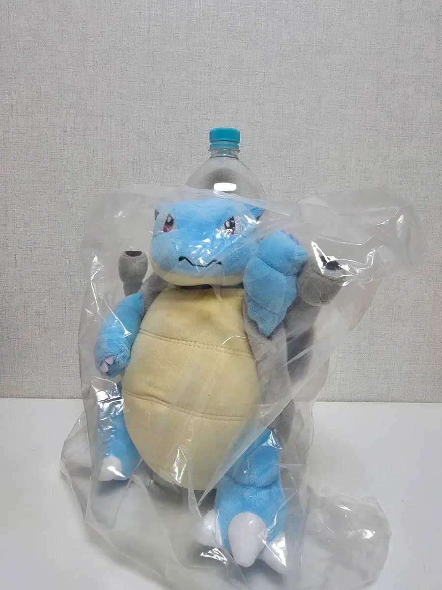 ゼニガメ カメール カメックス ポケパークカントー 限定 ぬいぐるみ 2