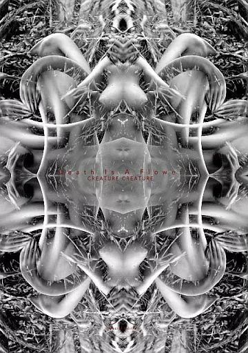 邦楽CD CREATURE Death Is A Flower DVD付初回 盤