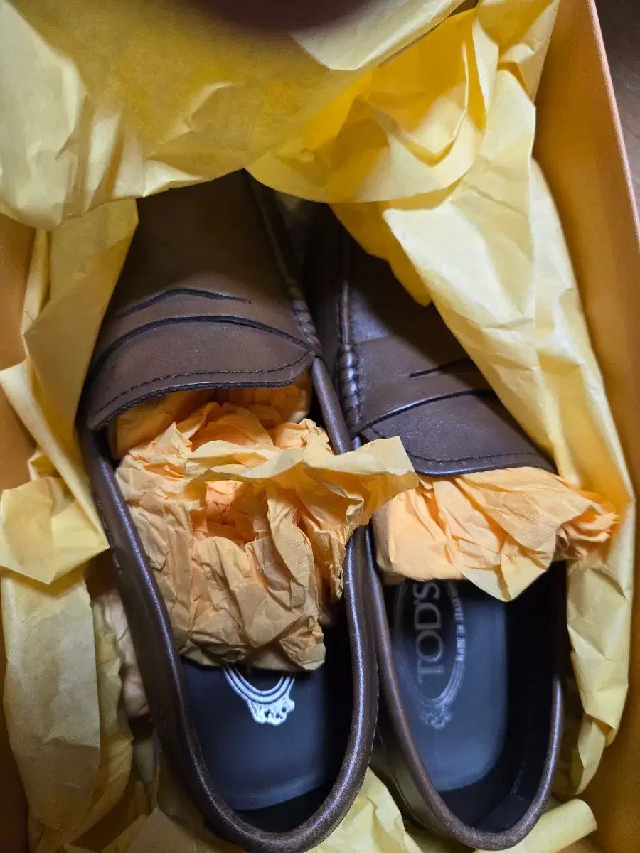 トッズ シティ ゴンミーニ メンズ ローファー