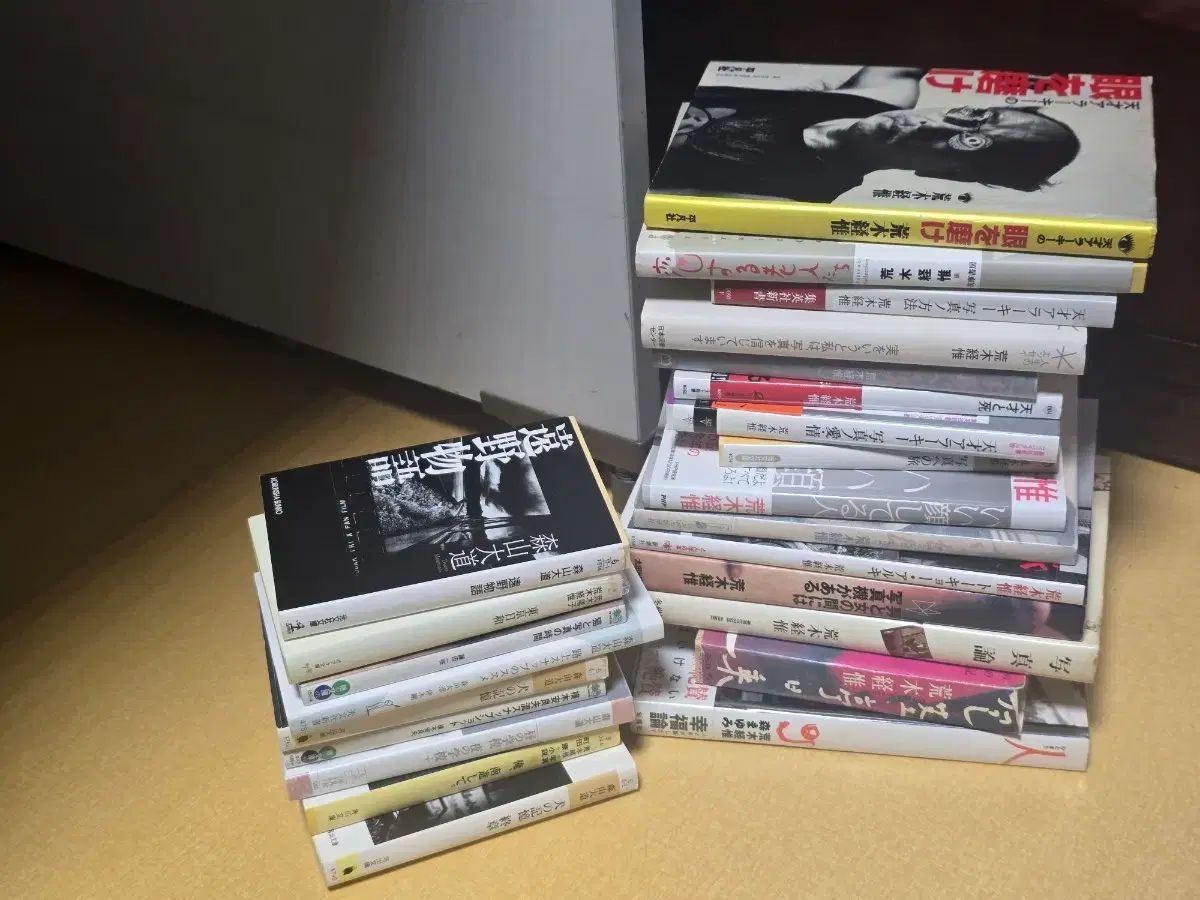 荒木経惟 コメントと写真あり 本 15巻 その他 日本写真家 9巻