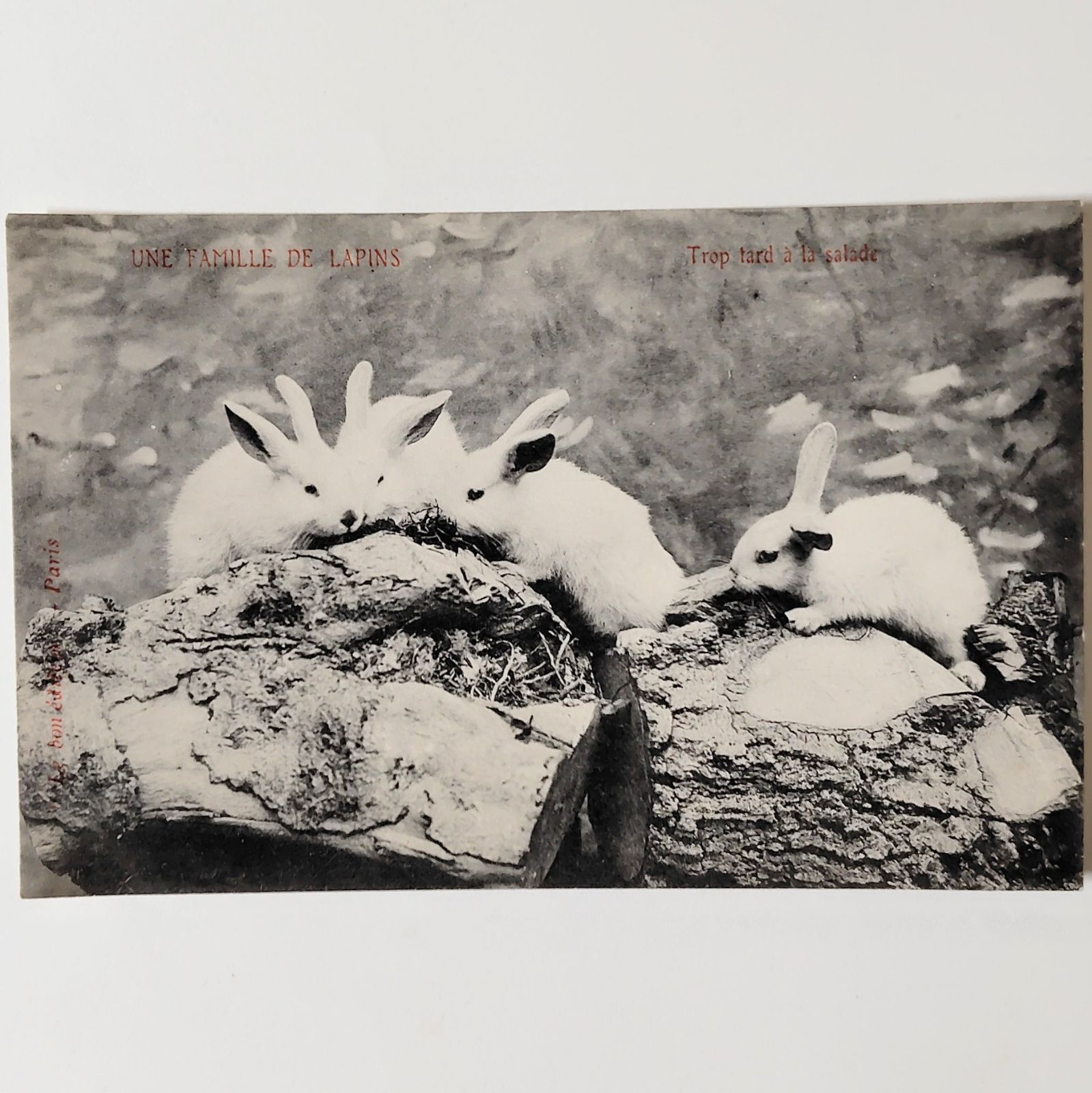 うさぎの家族 ― サラダには少し遅すぎて フランス ヴィンテージ ポスト