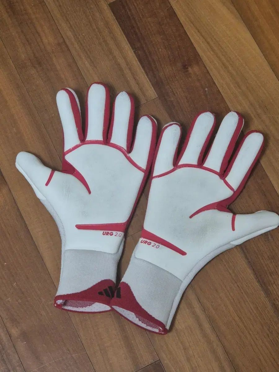 Adidas サッカー 手袋 プロ アディダス コパ GKグローブ プロ adidas サッカー キーパーグローブ キーパー手袋 ゴールキーパー オフホワイト ルシッドブルー シグナルコーラル KSZ19-JN5336 adidas アディダス 爆買 コパ GKグローブ プロ ブルーフュージョン ヘイローブルー adidas