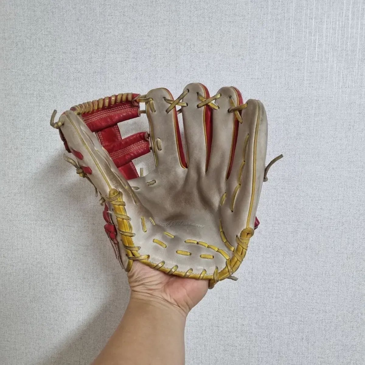 オータムブロッサム 内野グローブ