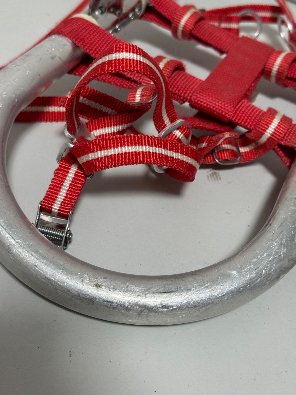 登山 レッドバンド